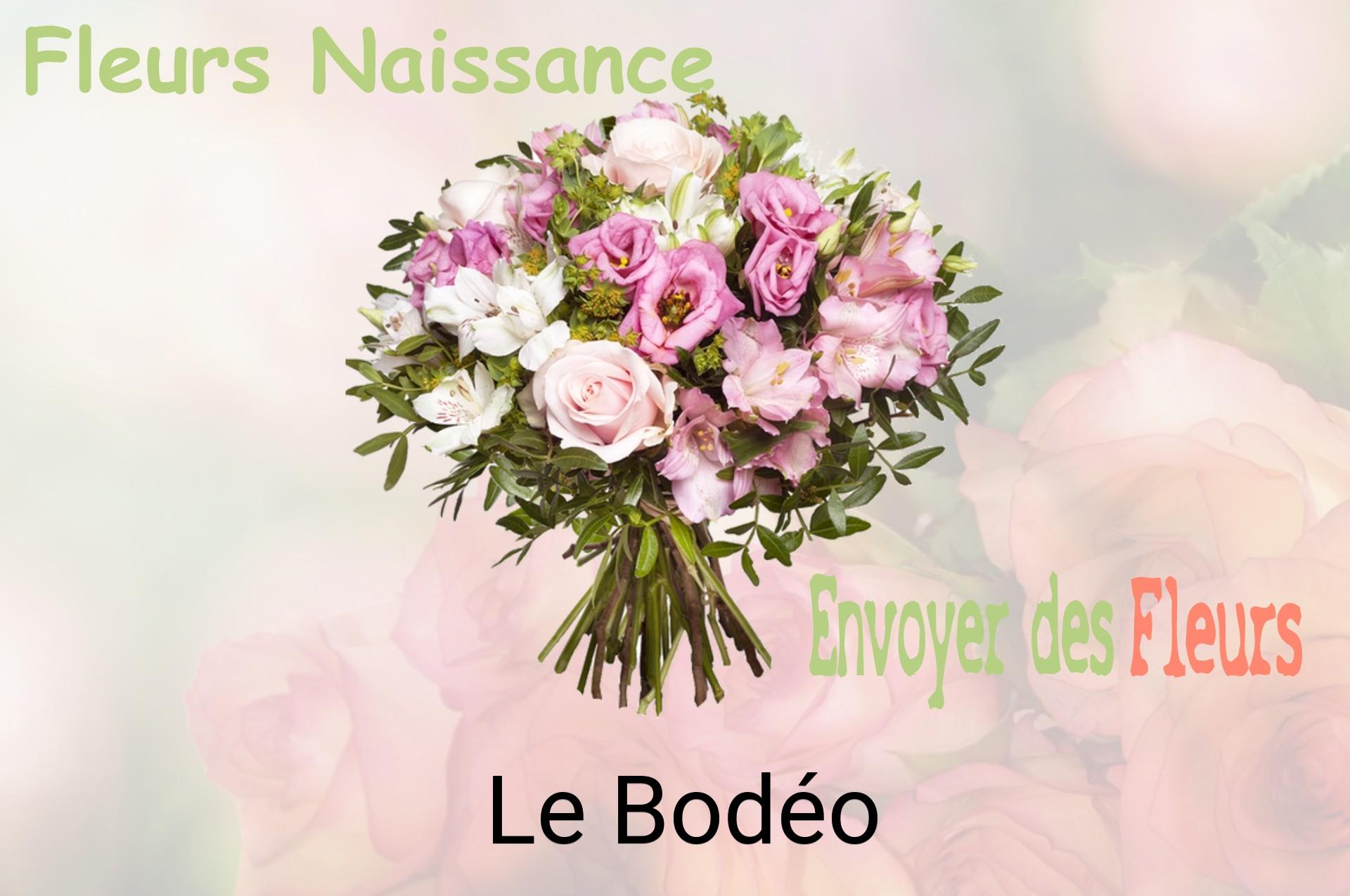 Bouquet de fleurs de naissance livré à Le Bodéo
